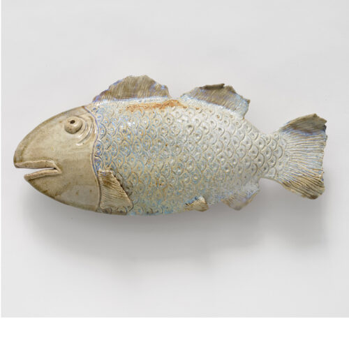 Fish 49