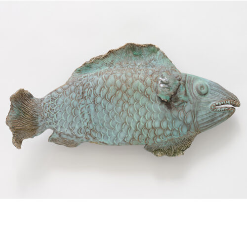 Fish 54
